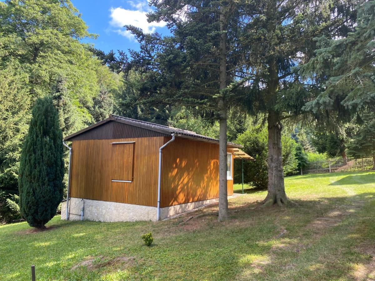 Waldfrieden Bungalow Garnsdorf Εξωτερικό φωτογραφία