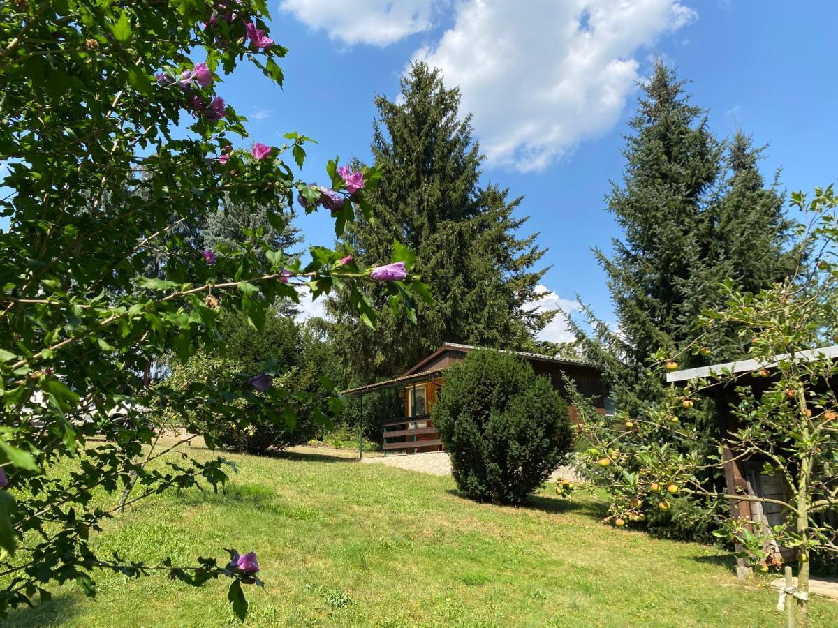 Waldfrieden Bungalow Garnsdorf Εξωτερικό φωτογραφία